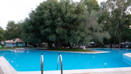 Piscina
